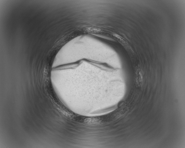 X0000082170714200702092243