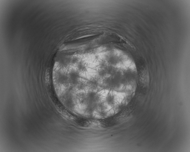 X0000082170715200702092243