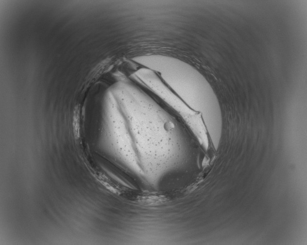 X0000082170716200702092243