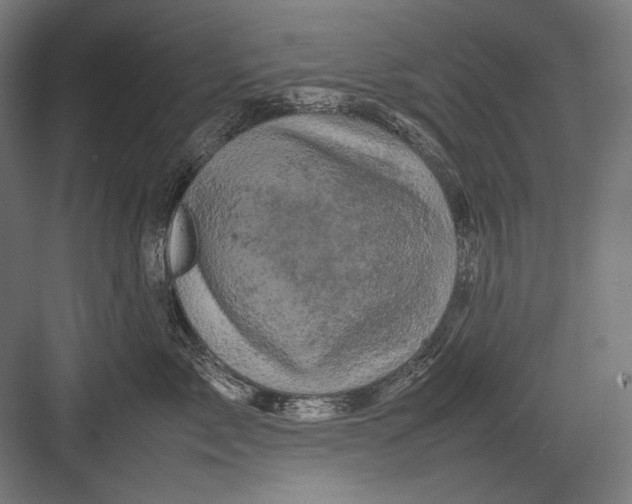 X0000082170717200702092243