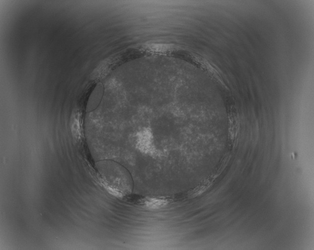 X0000082170718200702092243