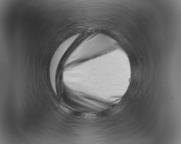 X0000082170719200702092243