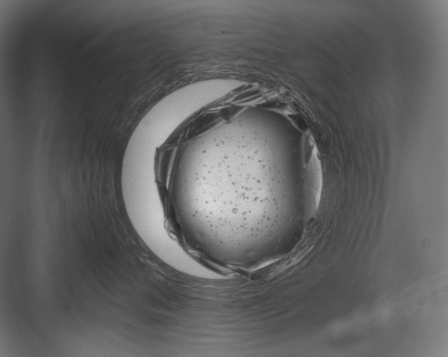 X0000082170720200702092243