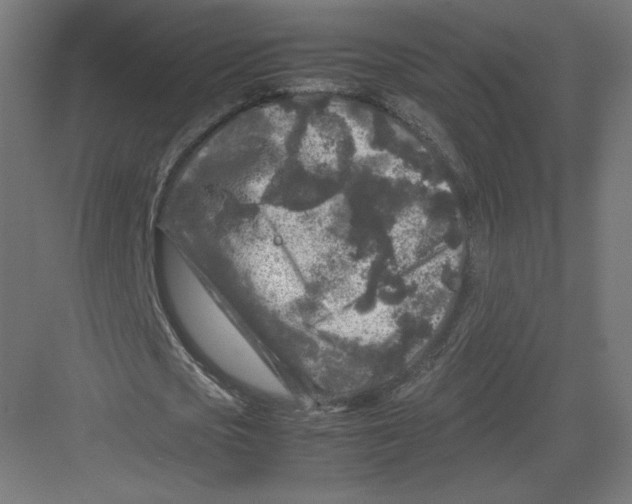 X0000082170721200702092242