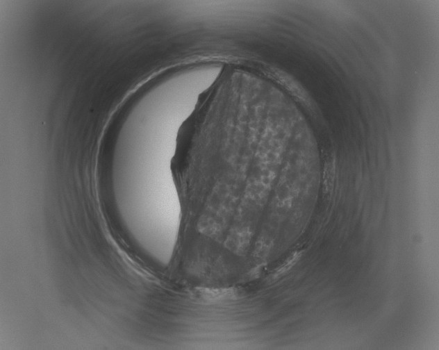 X0000082170722200702092242