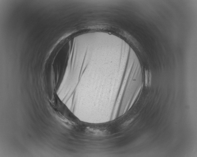 X0000082170723200702092242