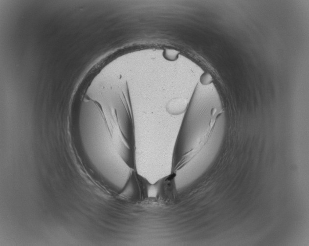 X0000082170724200702092243