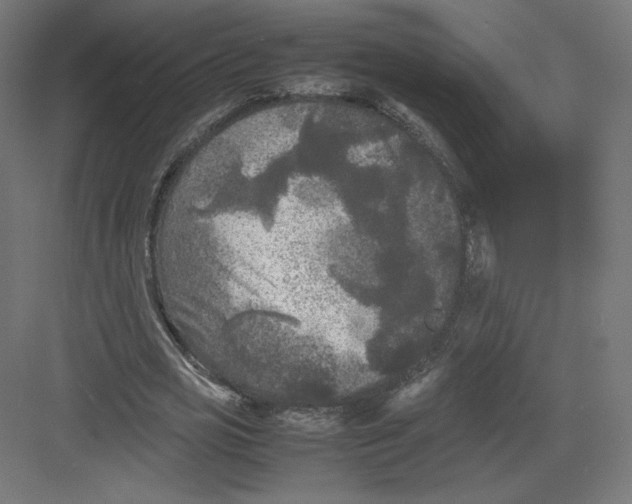 X0000082170725200702092243