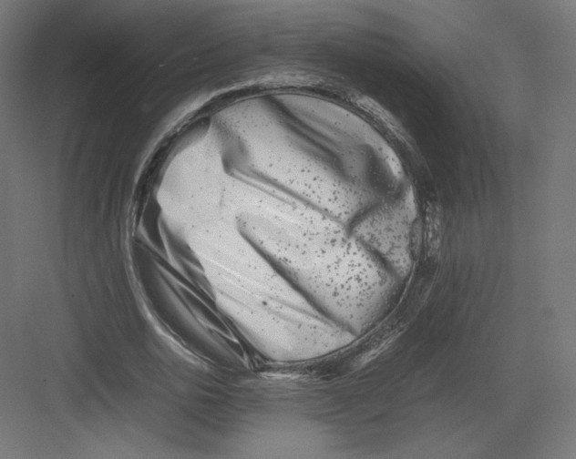 X0000082170726200702092243