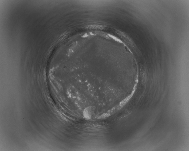 X0000082170729200702092243