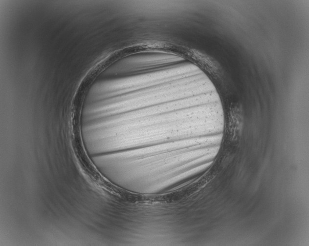 X0000082170730200702092243