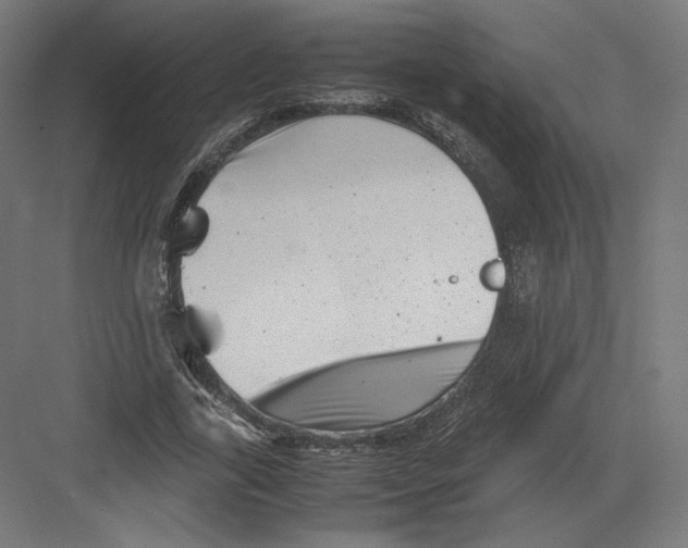 X0000082170731200702092243