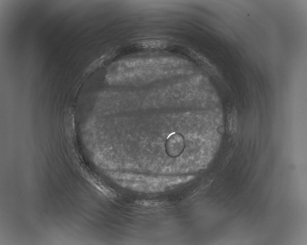 X0000082170733200702092243