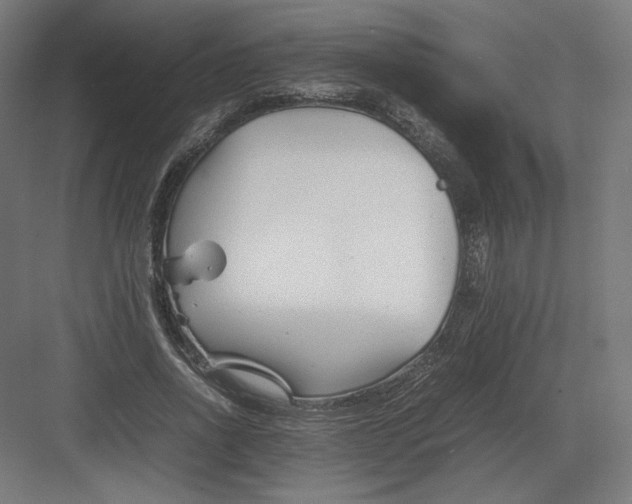 X0000082170734200702092243