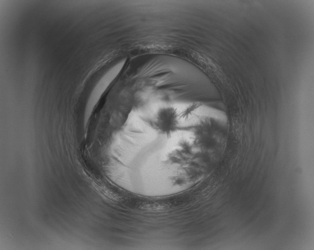 X0000082170735200702092243