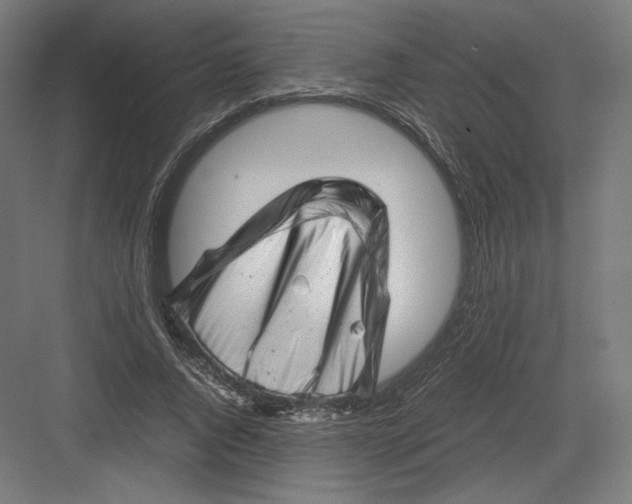 X0000082170736200702092243