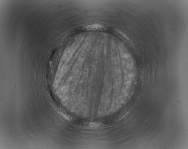 X0000082170737200702092243