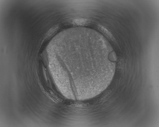 X0000082170738200702092243