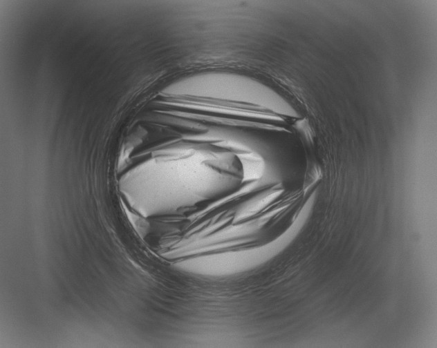 X0000082170740200702092243