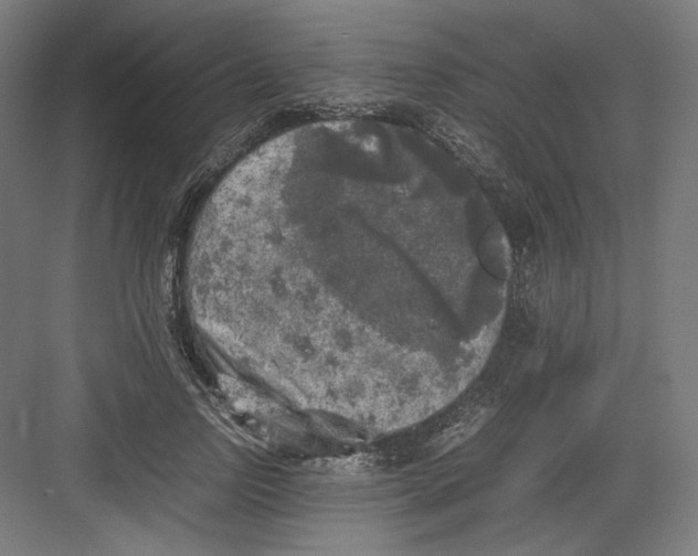 X0000082170742200702092243