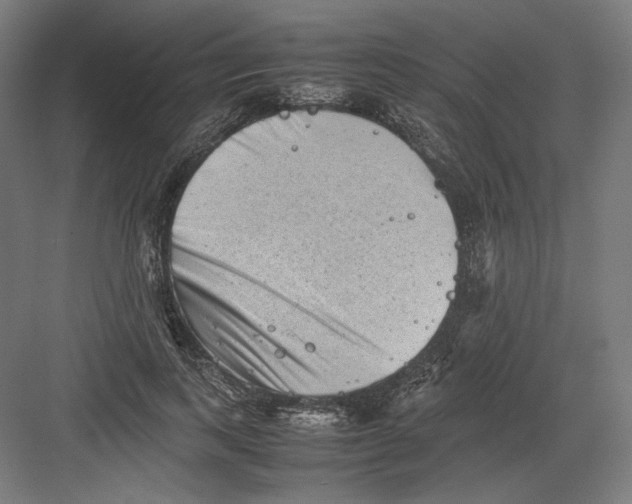 X0000082170743200702092243