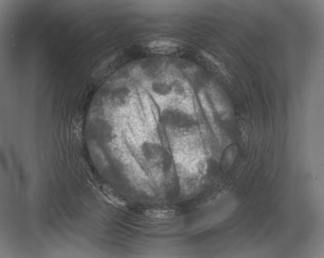 X0000082170745200702092243