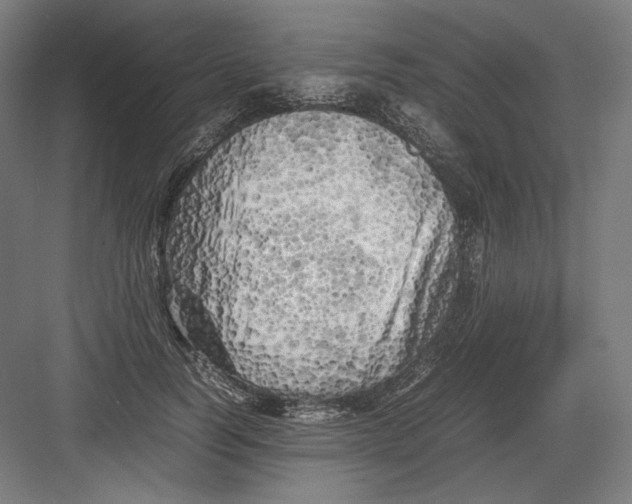 X0000082170746200702092243