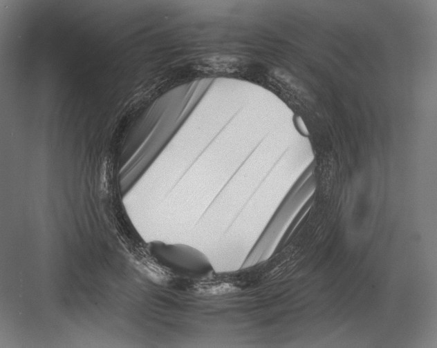 X0000082170747200702092243