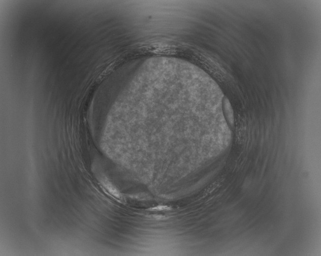 X0000082170748200702092243