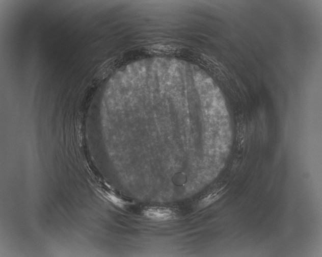 X0000082170749200702092243