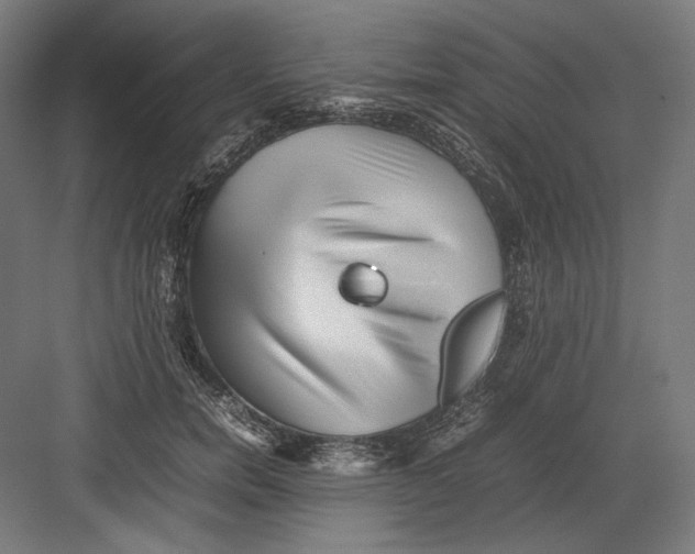 X0000082170750200702092243