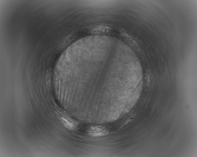 X0000082170753200702092243