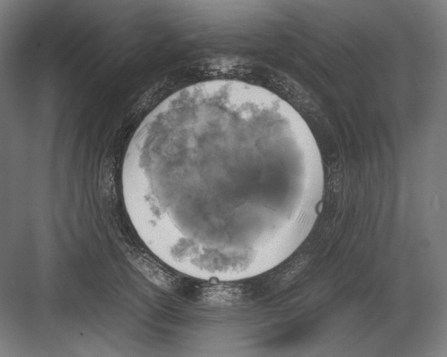 X0000082170754200702092243