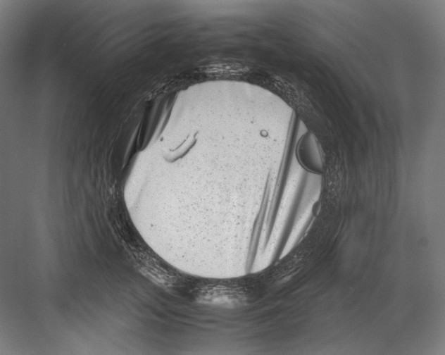 X0000082170755200702092243