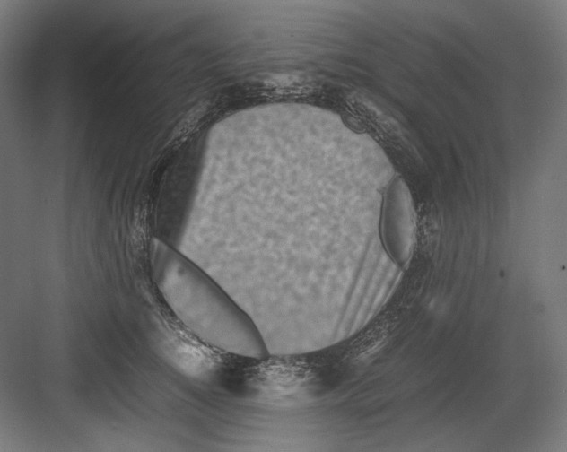 X0000082170756200702092243