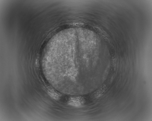 X0000082170757200702092243