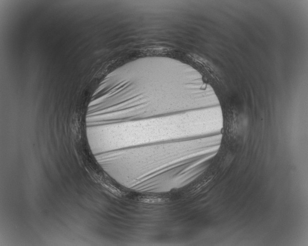 X0000082170759200702092243