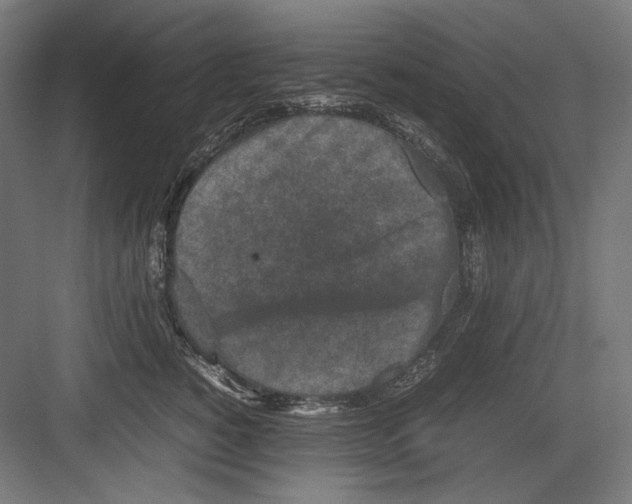 X0000082170760200702092243