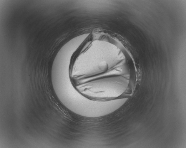 X0000082170762200702092243