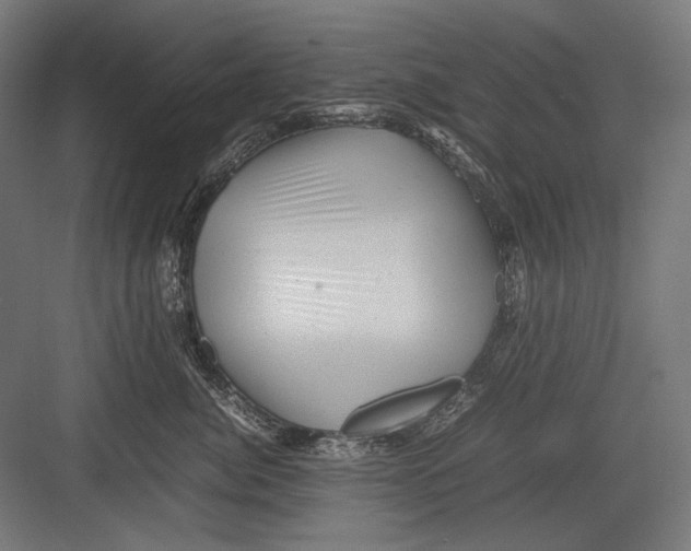 X0000082170764200702092243