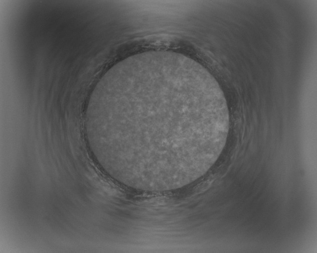 X0000082170769200702092242