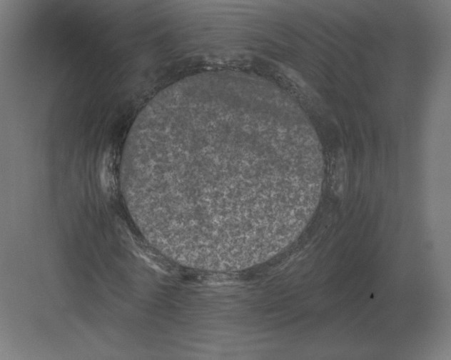 X0000082170770200702092242