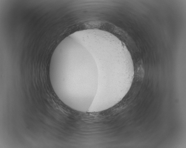 X0000082170772200702092242