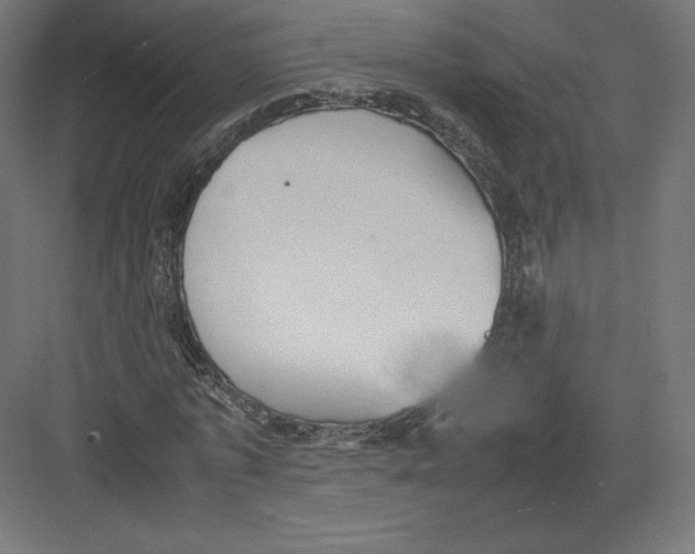 X0000082170773200702092242