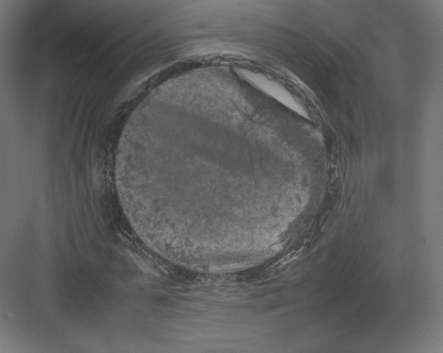 X0000082170775200702092242