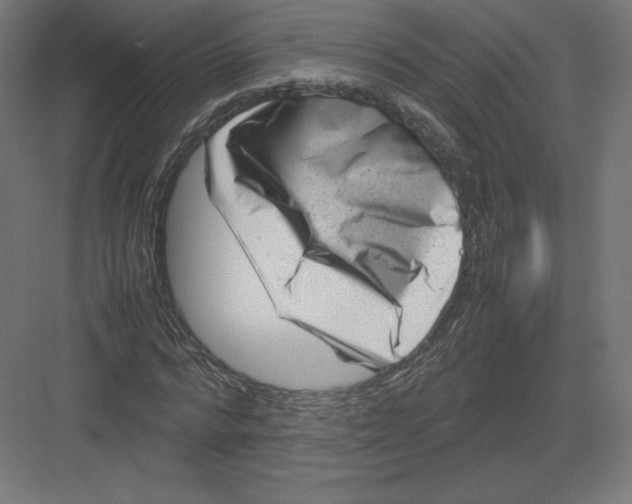 X0000082170776200702092242