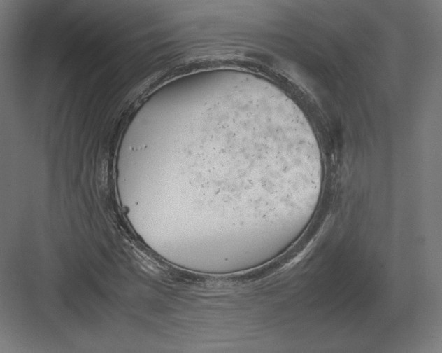 X0000082170777200702092242