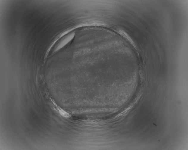 X0000082170781200702092242