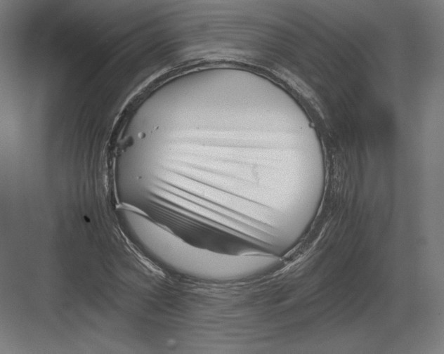 X0000082170782200702092242