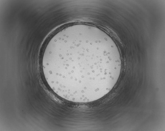 X0000082170784200702092242